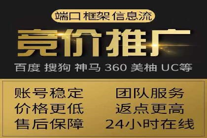 百度推广费用投入与品牌知名度提升的案例分析